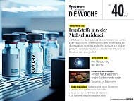 Spektrum - Die Woche - 40/2023 - Impfstoffe aus der Ma&szlig;schneiderei