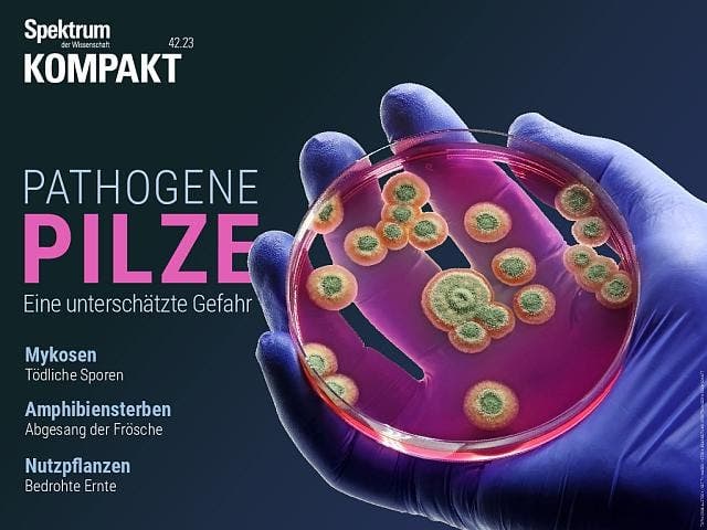 Spektrum Kompakt - 42/2023 - Pathogene Pilze – Eine unterschätzte Gefahr