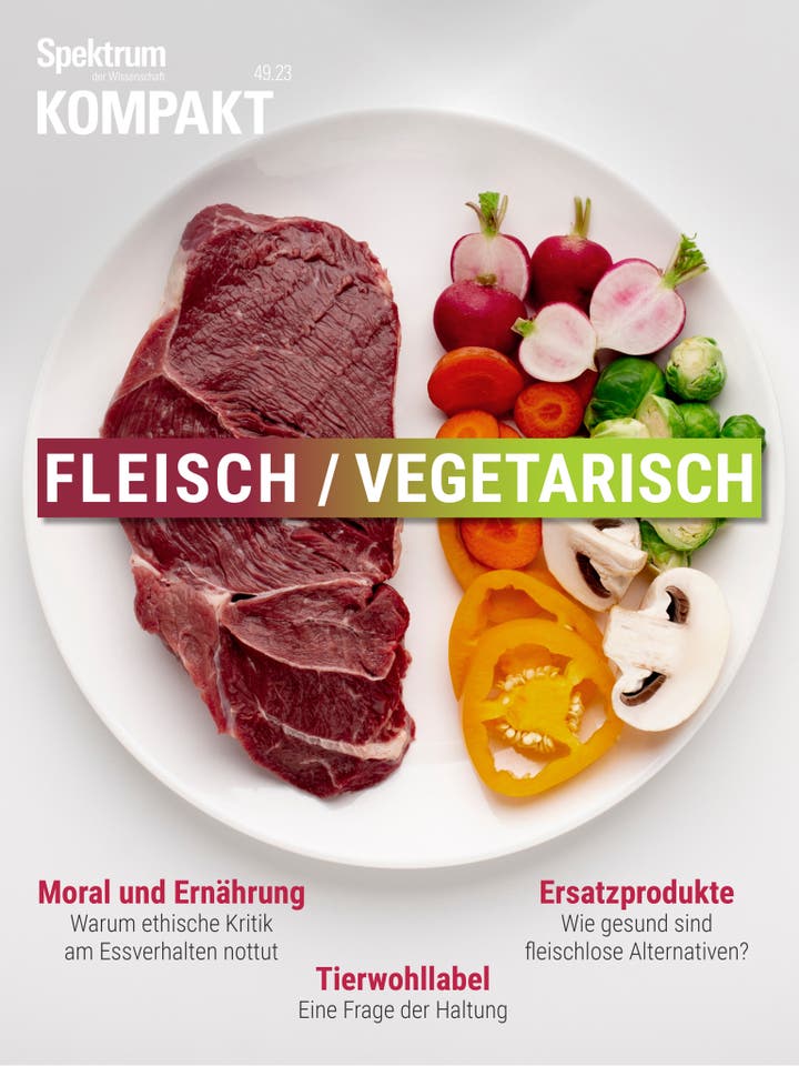 Spektrum Kompakt – 49/2023 – Fleisch / Vegetarisch