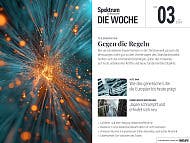 Spektrum - Die Woche - 3/2024 - Gegen die Regeln