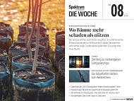 Spektrum - Die Woche - 8/2024 - Wo Bäume mehr schaden als nützen