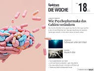 Spektrum - Die Woche - 18/2024 - Wie Psychopharmaka das Gehirn verändern