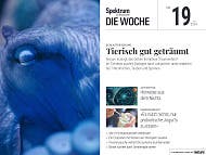 Spektrum - Die Woche - 19/2024 - Tierisch gut geträumt