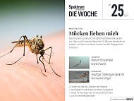 Spektrum - Die Woche - 25/2024 - Mücken lieben mich!