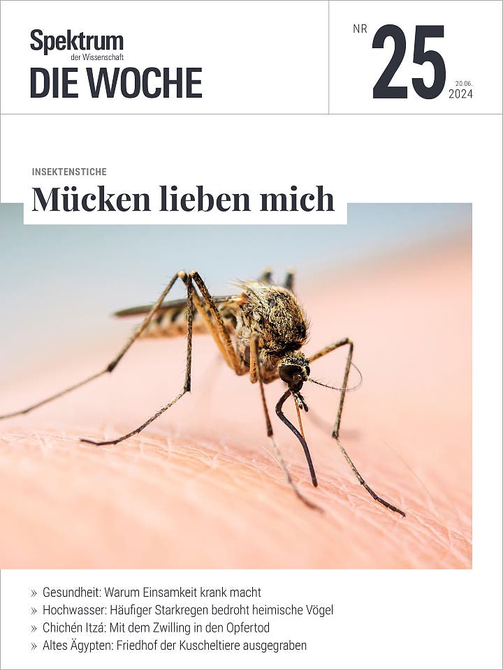 Mücken lieben mich!