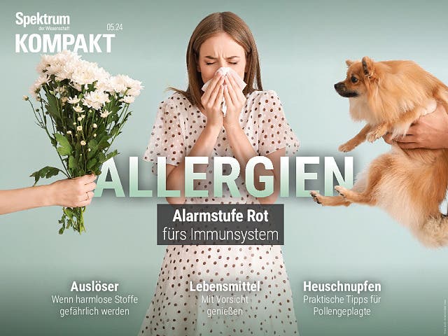 Spektrum Kompakt - 5/2024 - Allergien - Alarmstufe Rot fürs Immunsystem