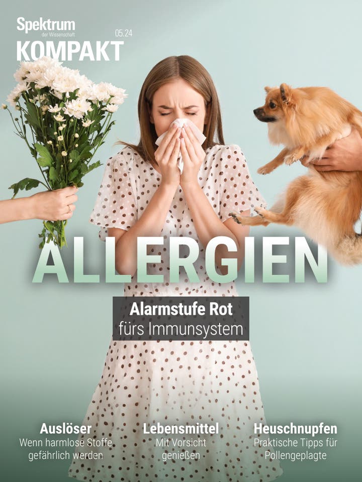 Spektrum Kompakt – 5/2024 – Allergien – Alarmstufe Rot fürs Immunsystem