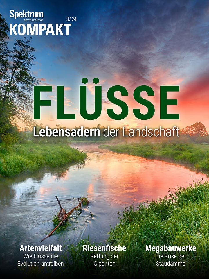 Flüsse - Lebensadern der Landschaft