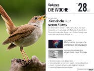 Spektrum - Die Woche - 28/2024 - Akustische Kur gegen Stress