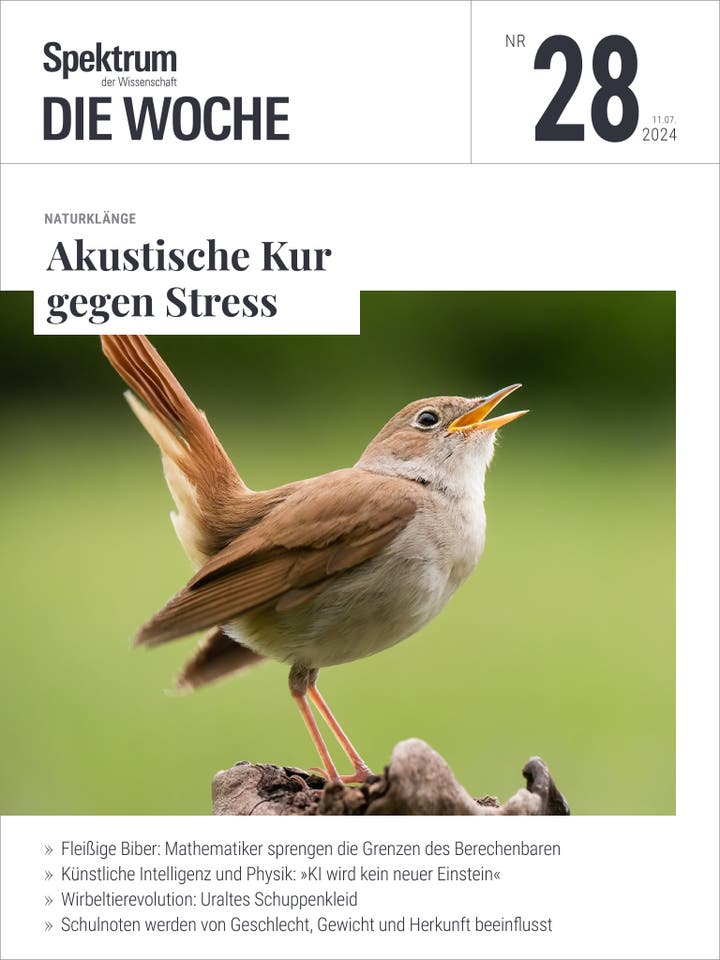 Spektrum – Die Woche – 28/2024 – Akustische Kur gegen Stress