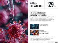 Spektrum - Die Woche - 29/2024 - »Das sind riesige Schritte vorwärts«