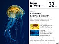 Spektrum - Die Woche - 32/2024 - Die Intelligenz des Lebens