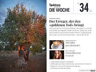 Spektrum - Die Woche - 34/2024 - Der Erreger, der den »goldenen Tod« bringt