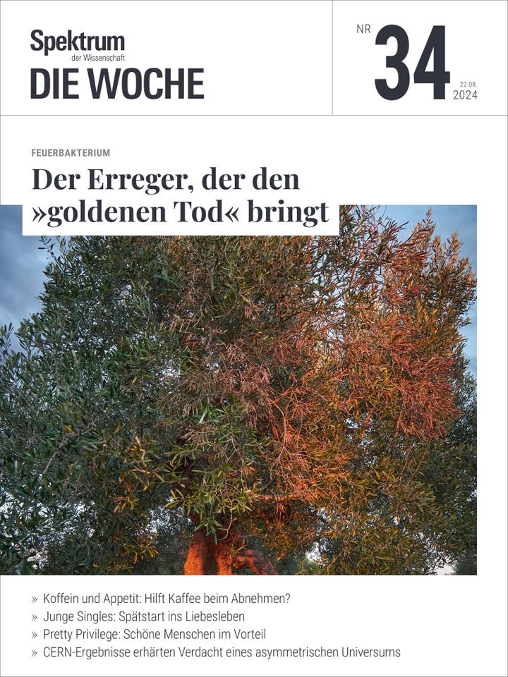 Spektrum - Die Woche - 34/2024 - Der Erreger, der den »goldenen Tod« bringt