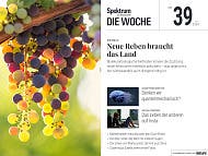 Spektrum - Die Woche - 39/2024 - Neue Reben für den Weinbau