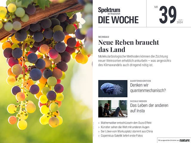  Neue Reben für den Weinbau