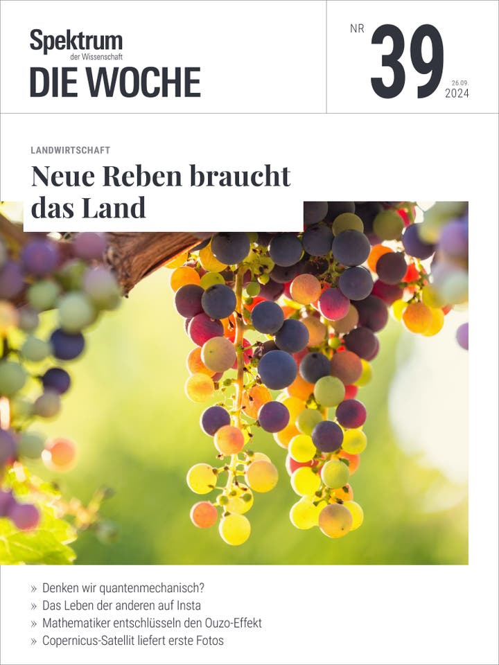 Spektrum - Die Woche - 39/2024 - Neue Reben für den Weinbau