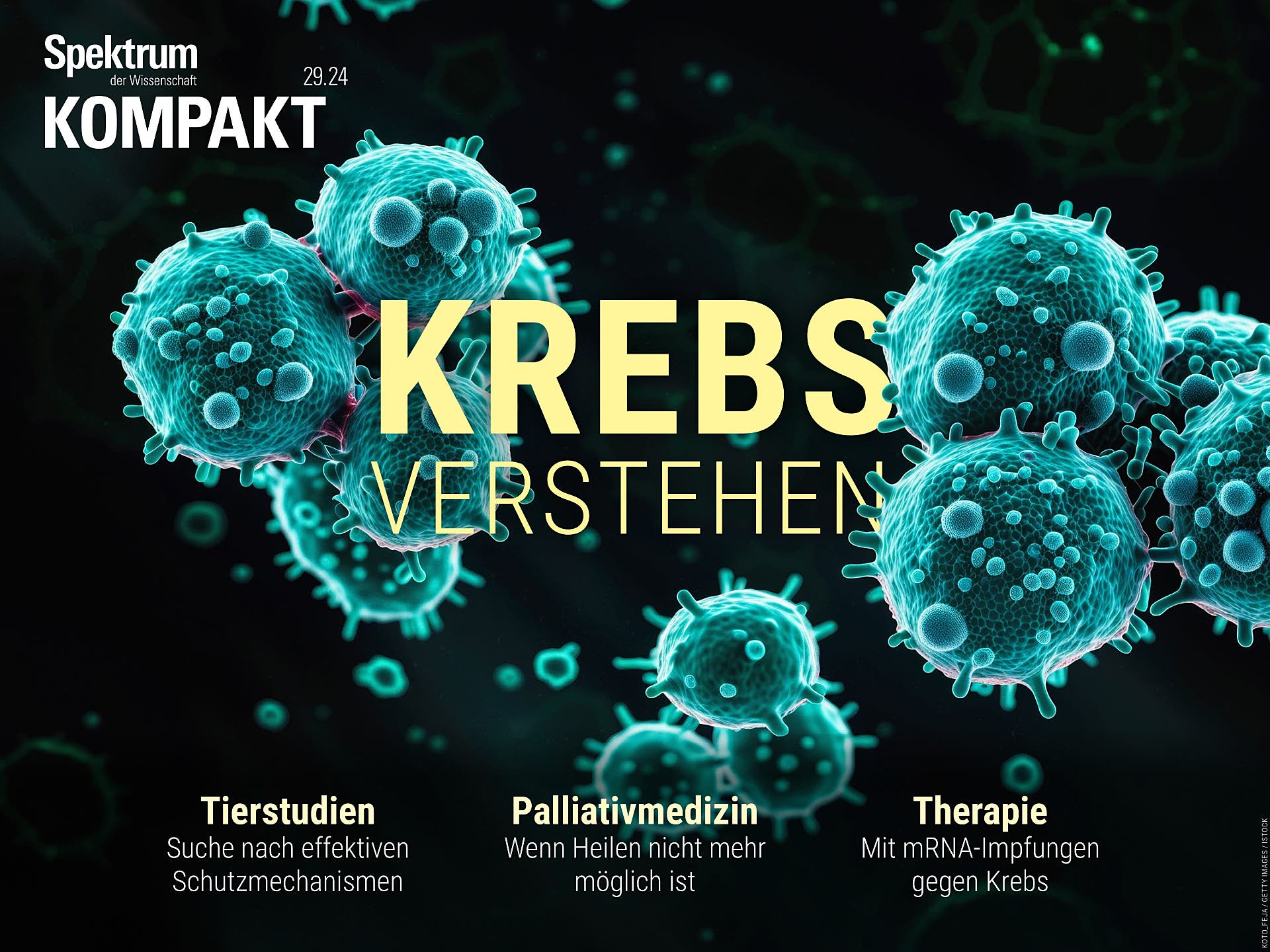 Wie Kann Man Krebs Erkennen www.spektrum.de