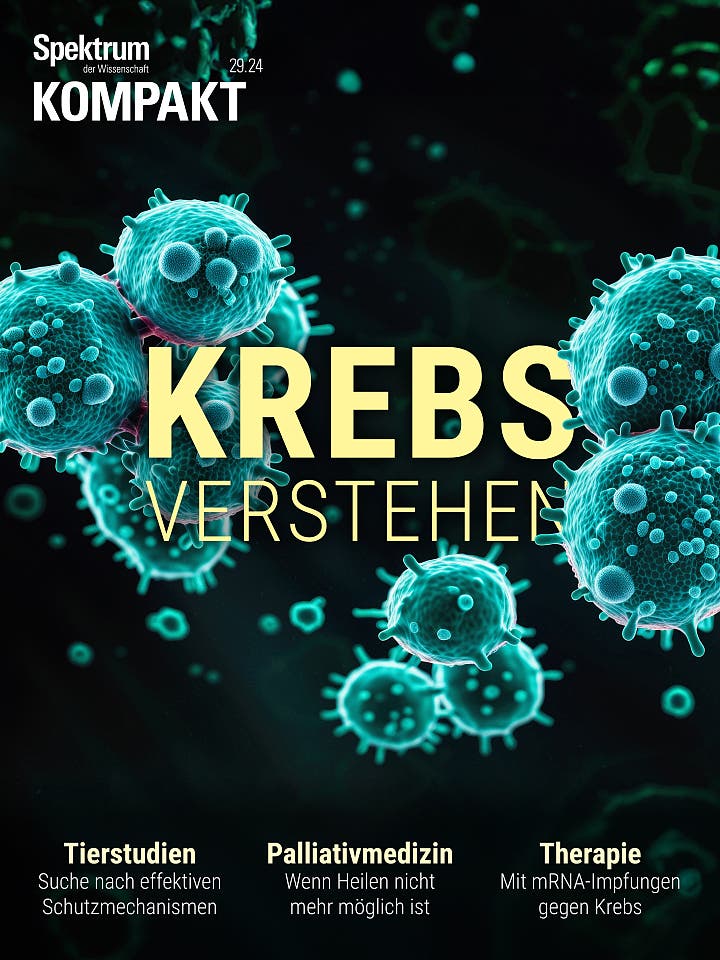 Krebs verstehen