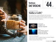 Spektrum - Die Woche - 44/2024 - Süßes Gift?