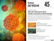 Spektrum - Die Woche - 45/2024 - Wie das Immunsystem wieder normal werden könnte