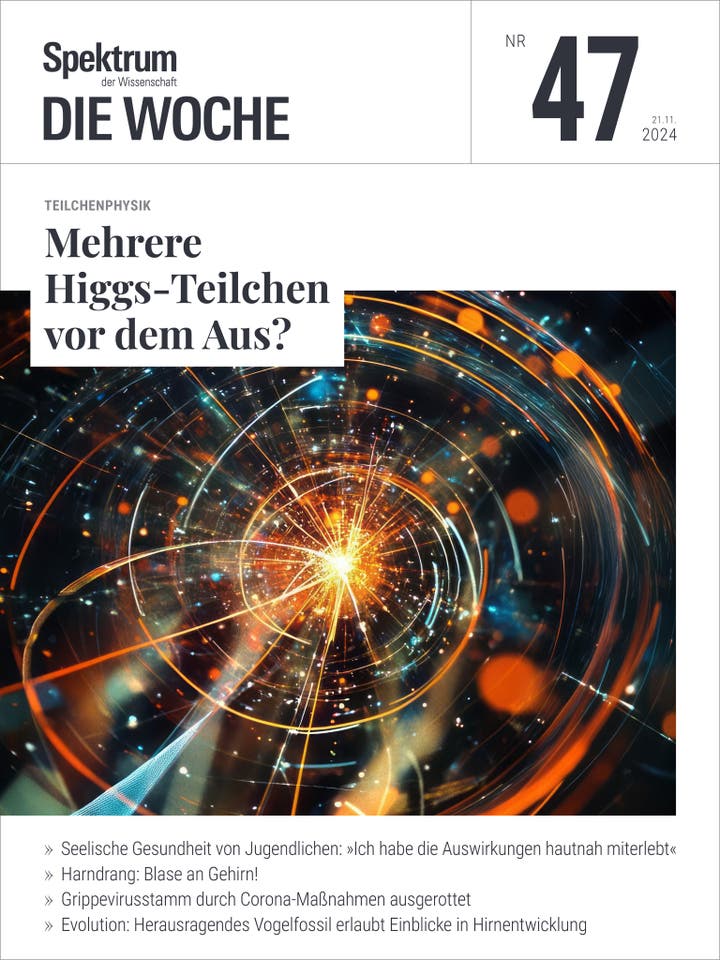 Spektrum – Die Woche – 47/2024 – Mehrere Higgs-Teilchen vor dem Aus?