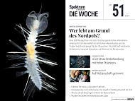 Spektrum - Die Woche - 51/2024 - Wer lebt am Grund des Nordpols?