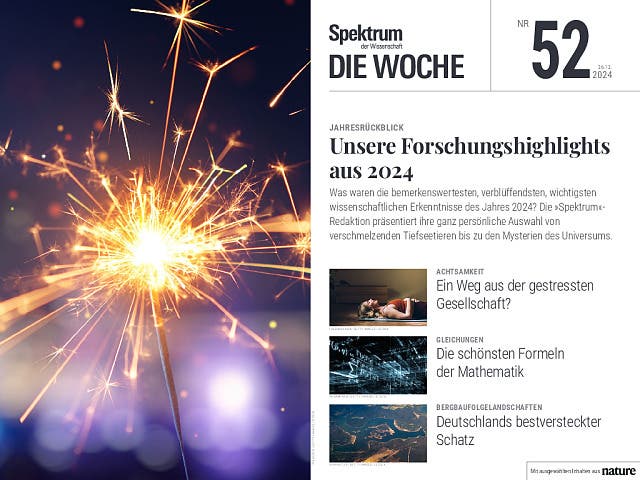  Unsere Forschungshighlights aus 2024