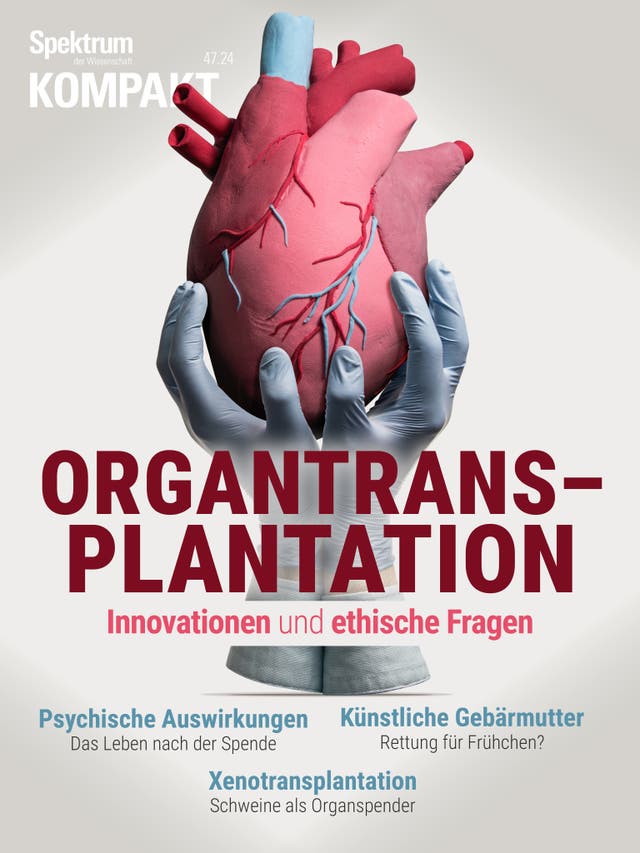 Spektrum Kompakt - 47/2024 - Organtransplantation - Innovationen und ethische Fragen