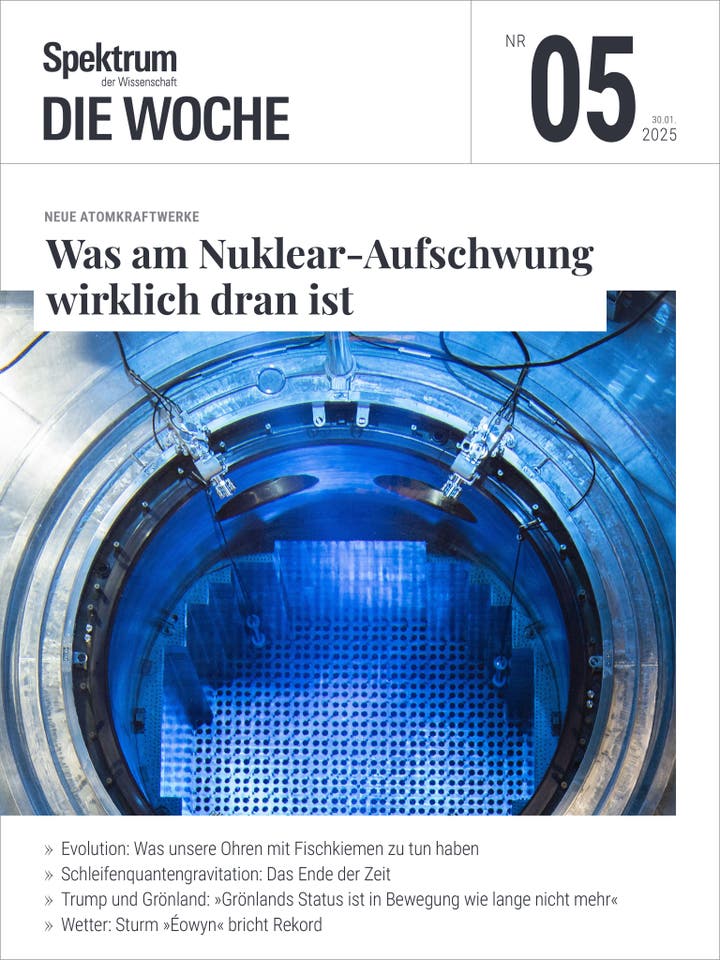 Spektrum - Die Woche - 5/2025 - Was am Nuklear-Aufschwung wirklich dran ist