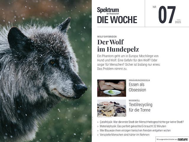  Der Wolf im Hundepelz