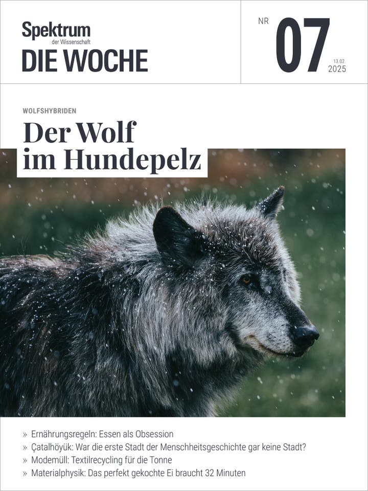 Spektrum - Die Woche - 7/2025 - Der Wolf im Hundepelz