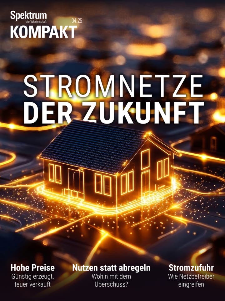 Spektrum Kompakt - 4/2025 - Stromnetze der Zukunft