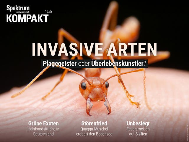  Invasive Arten – Plagegeister oder Überlebenskünstler?