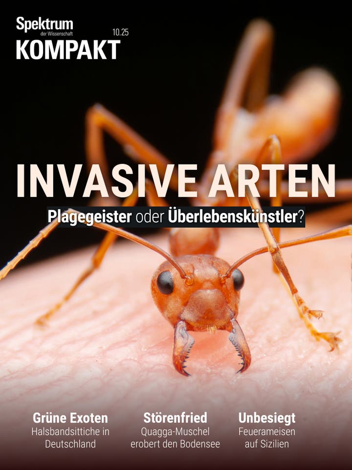 Spektrum Kompakt - 10/2025 - Invasive Arten - Plagegeister oder Überlebenskünstler?