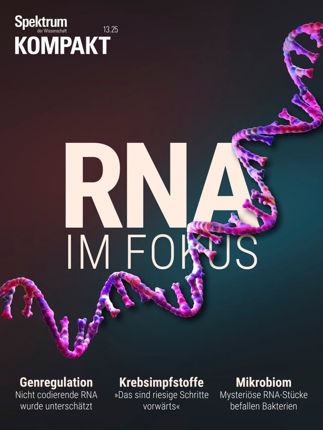 Spektrum Kompakt - 13/2025 - RNA im Fokus