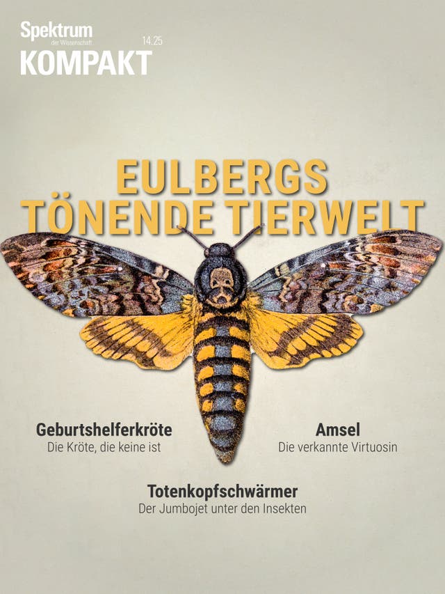 Spektrum Kompakt - 14/2025 - Eulbergs tönende Tierwelt