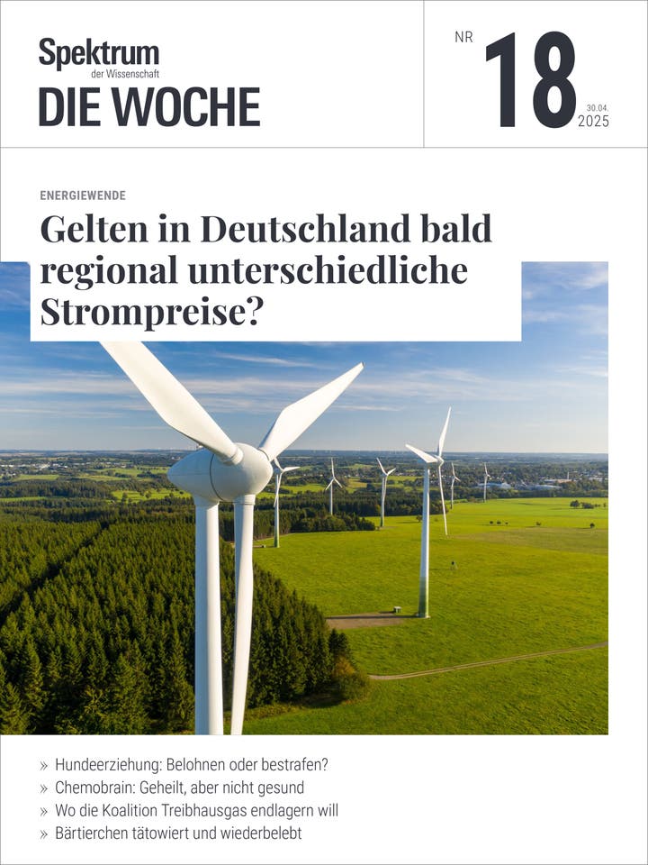 Spektrum - Die Woche - 18/2025 - Neue Strompreisregelung in Deutschland?