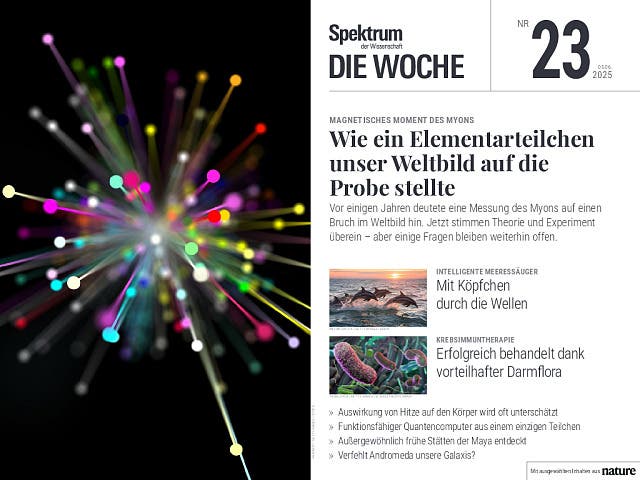  Wie ein Elementarteilchen unser Weltbild auf die Probe stellte