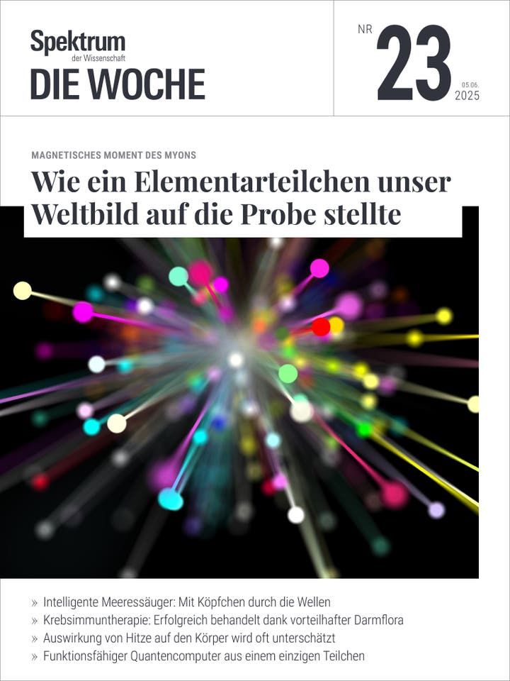 Spektrum - Die Woche - 23/2025 - Wie ein Elementarteilchen unser Weltbild auf die Probe stellte