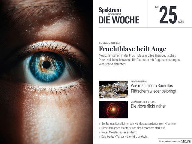  Fruchtblase heilt Auge