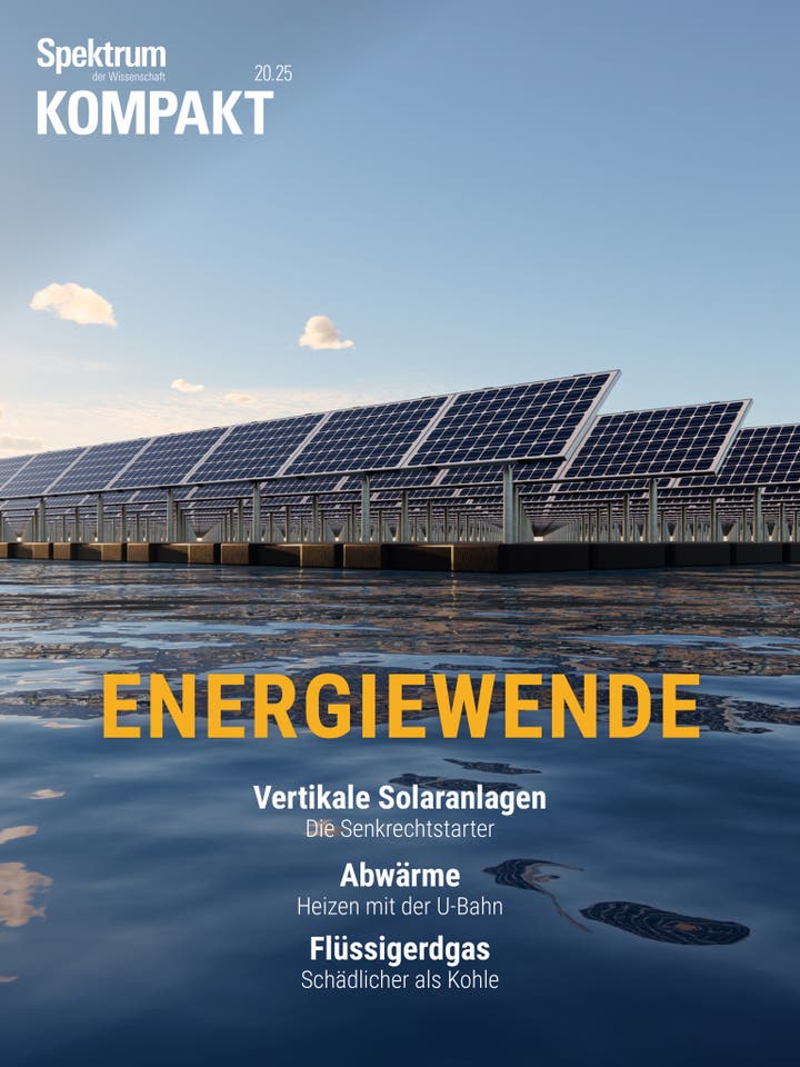 Spektrum Kompakt - 20/2025 - Energiewende
