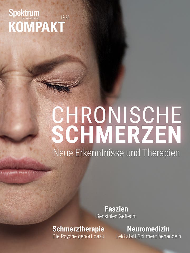 Chronische Schmerzen