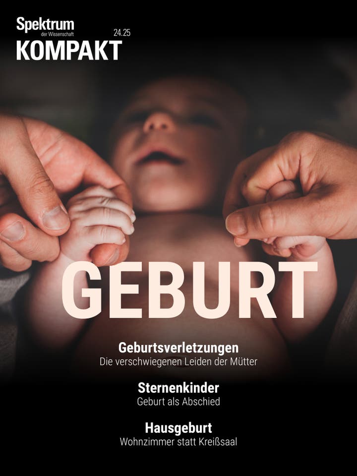 Spektrum Kompakt - 24/2025 - Geburt