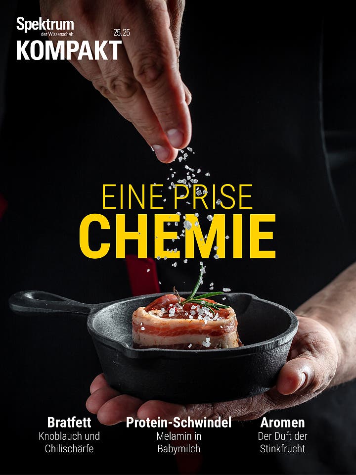 Eine Hand streut grobes Salz über ein in Speck gewickeltes Stück Fleisch in einer kleinen schwarzen Pfanne. Im Hintergrund steht in gelber Schrift „Eine Prise Chemie“. Oben links ist das Logo von „Spektrum der Wissenschaft KOMPAKT“ zu sehen. Unten sind die Themen „Bratfett: Knoblauch und Chilischarfe“, „Protein-Schwindel: Melamin in Babymilch“ und „Aromen: Der Duft der Stinkfrucht“ aufgeführt.