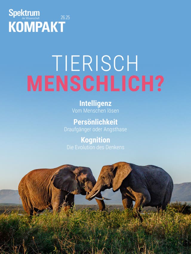 Spektrum Kompakt - 26/2025 - Tierisch menschlich? 
