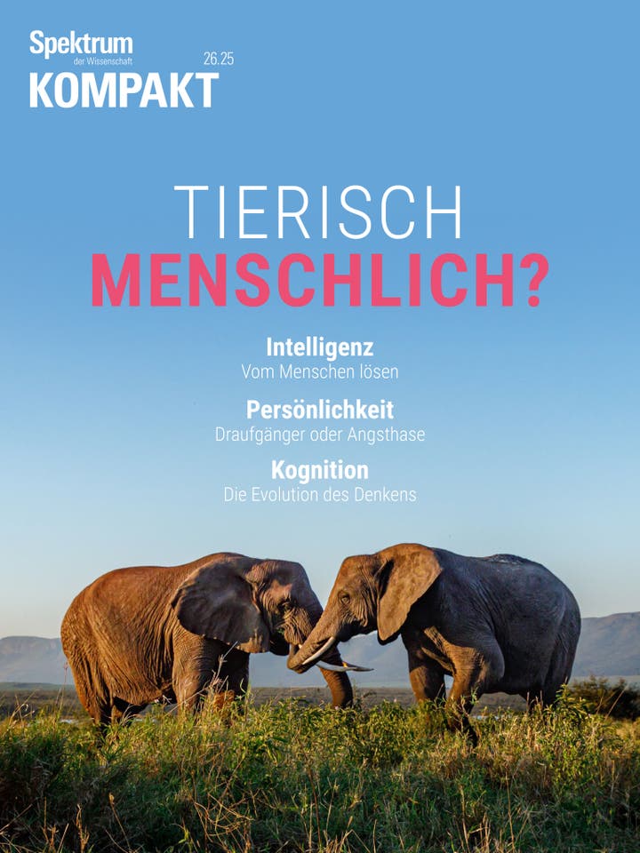 Spektrum Kompakt - 26/2025 - Tierisch menschlich? 
