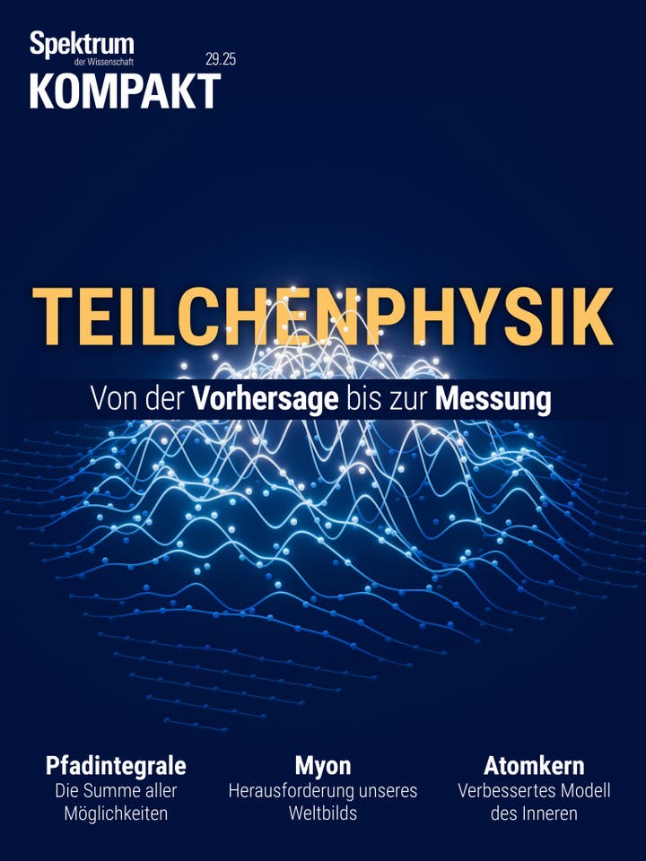 Spektrum Kompakt - 29/2025 - Teilchenphysik