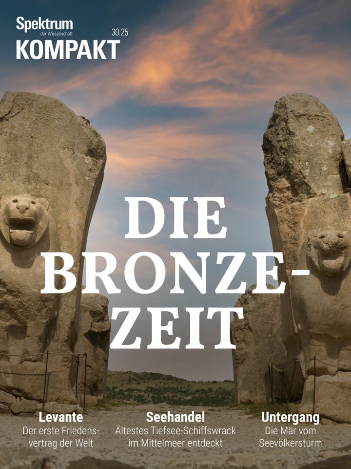 Spektrum Kompakt - 30/2025 - Bronzezeit