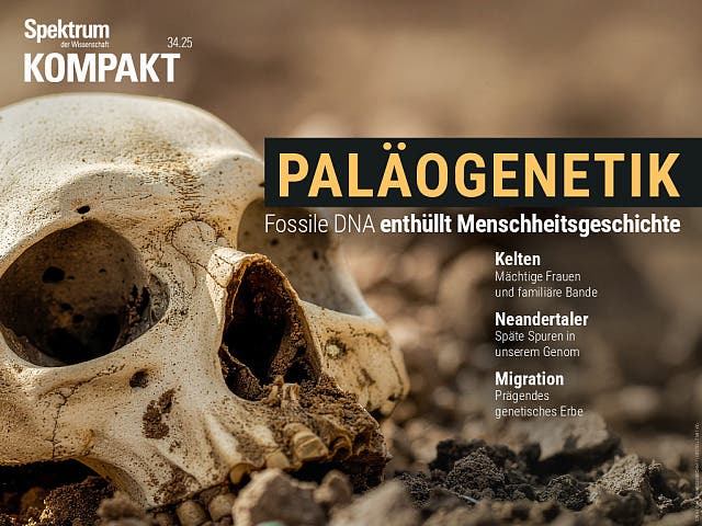  Paläogenetik